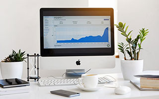  PG拳击玫瑰：带你解锁女性力量与优雅的平衡（PG拳击玫瑰）